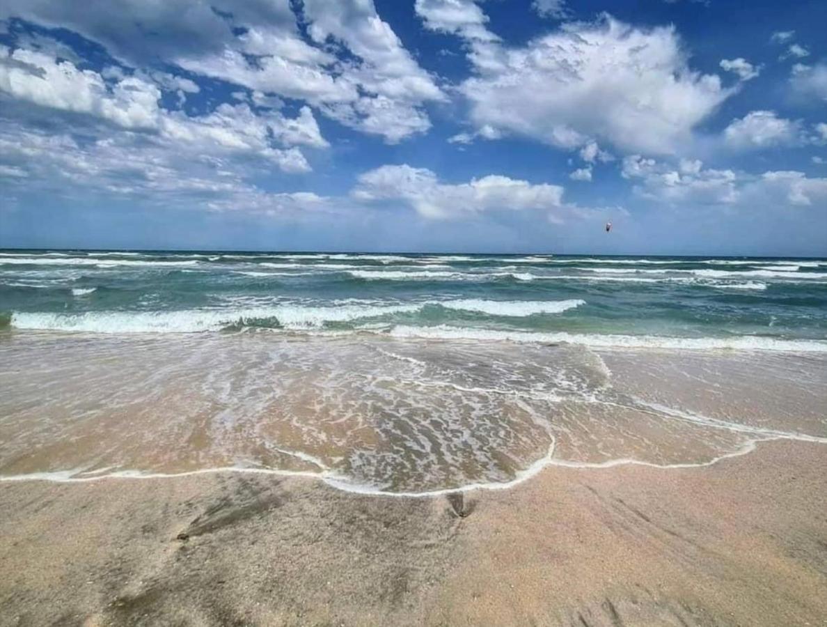 Wave 2 Mamaia Prima Linie Vedere La Mare 120Mp 那沃达利 外观 照片