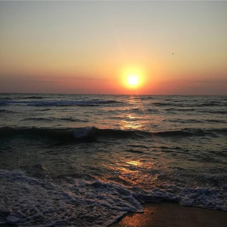 Wave 2 Mamaia Prima Linie Vedere La Mare 120Mp 那沃达利 外观 照片