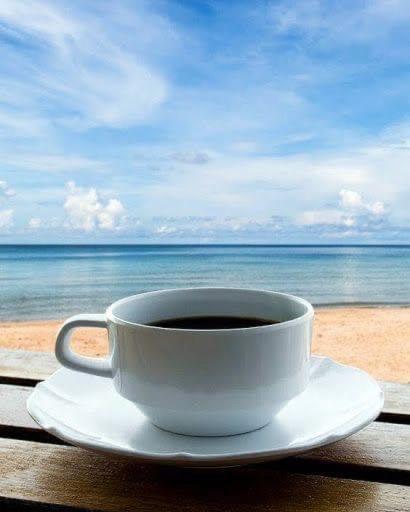 Wave 2 Mamaia Prima Linie Vedere La Mare 120Mp 那沃达利 外观 照片